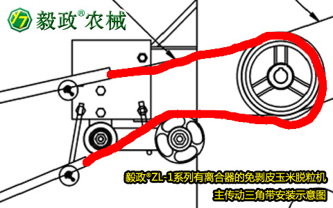 毅政牌ZL1系列有離合器的免剝皮玉米脫粒機，主傳動三角帶正確安裝